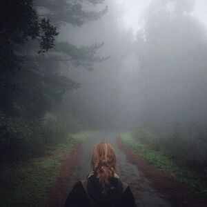 Under The Pipal Tree (25Th Anniversary)